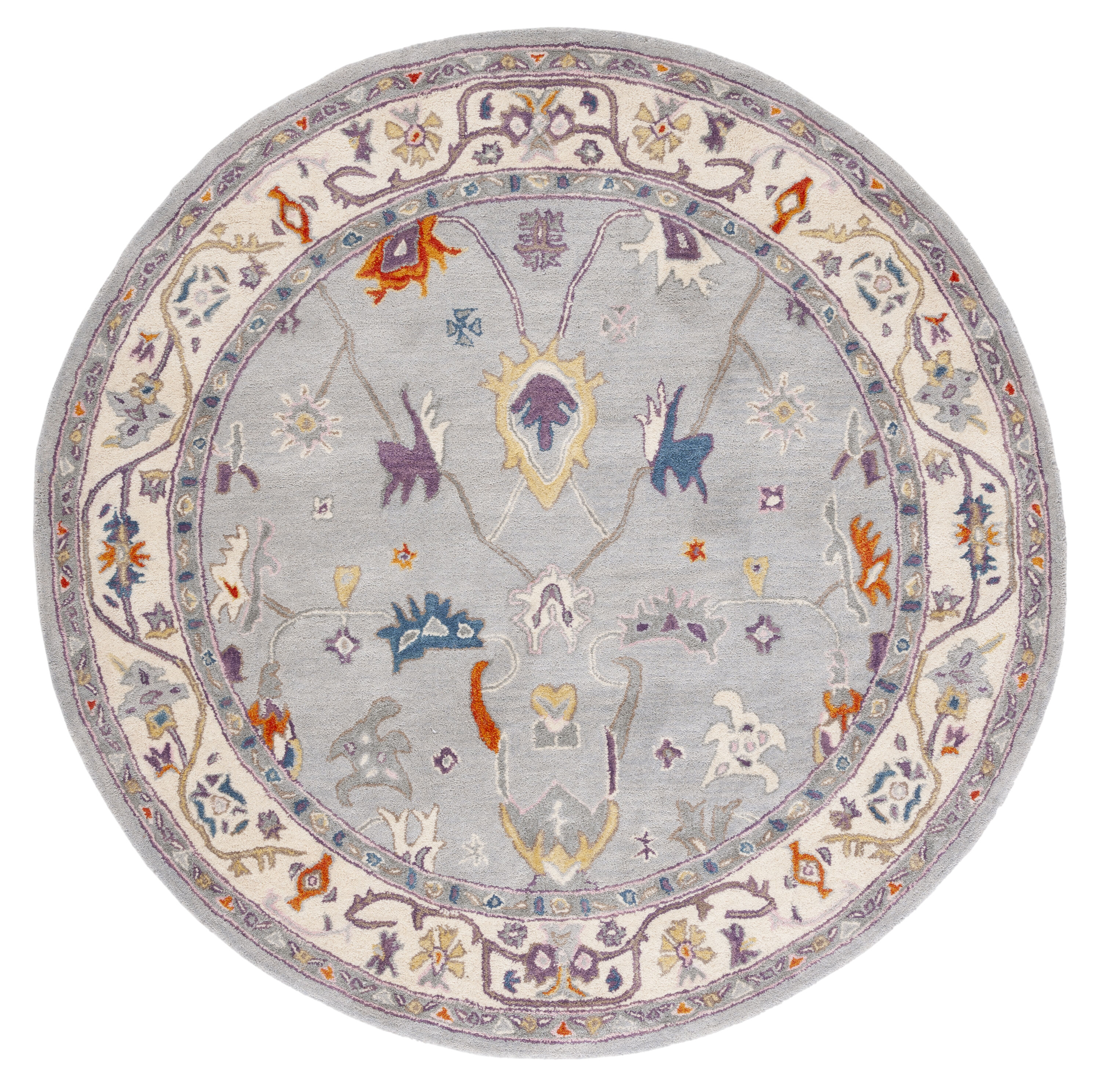Safavieh AN513F-6R rugs - View #2