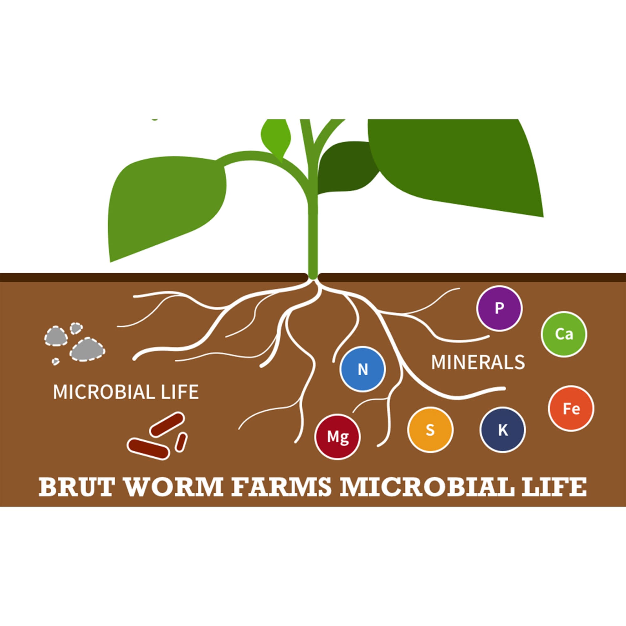Brut Worm Farms 396612 Plant-Food - View #4