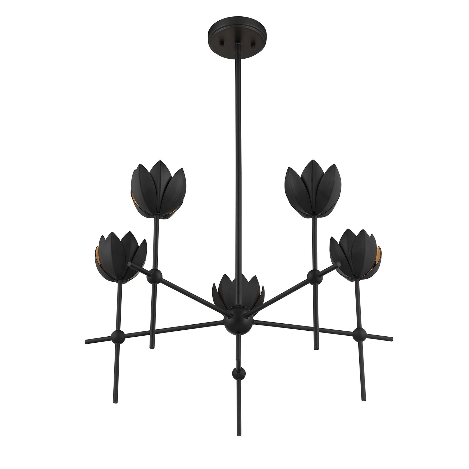 Meridian Lite Trends M100131MBK b090015 - View #4