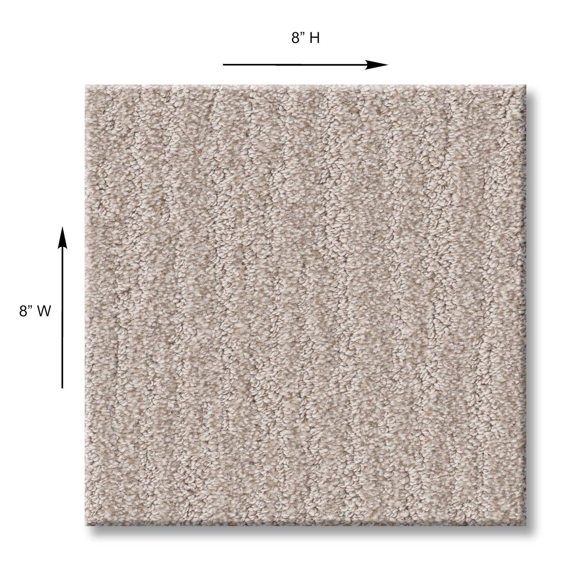 STAINMASTER PetProtect 7L933-116-SAMP Carpet-Samples - View #10