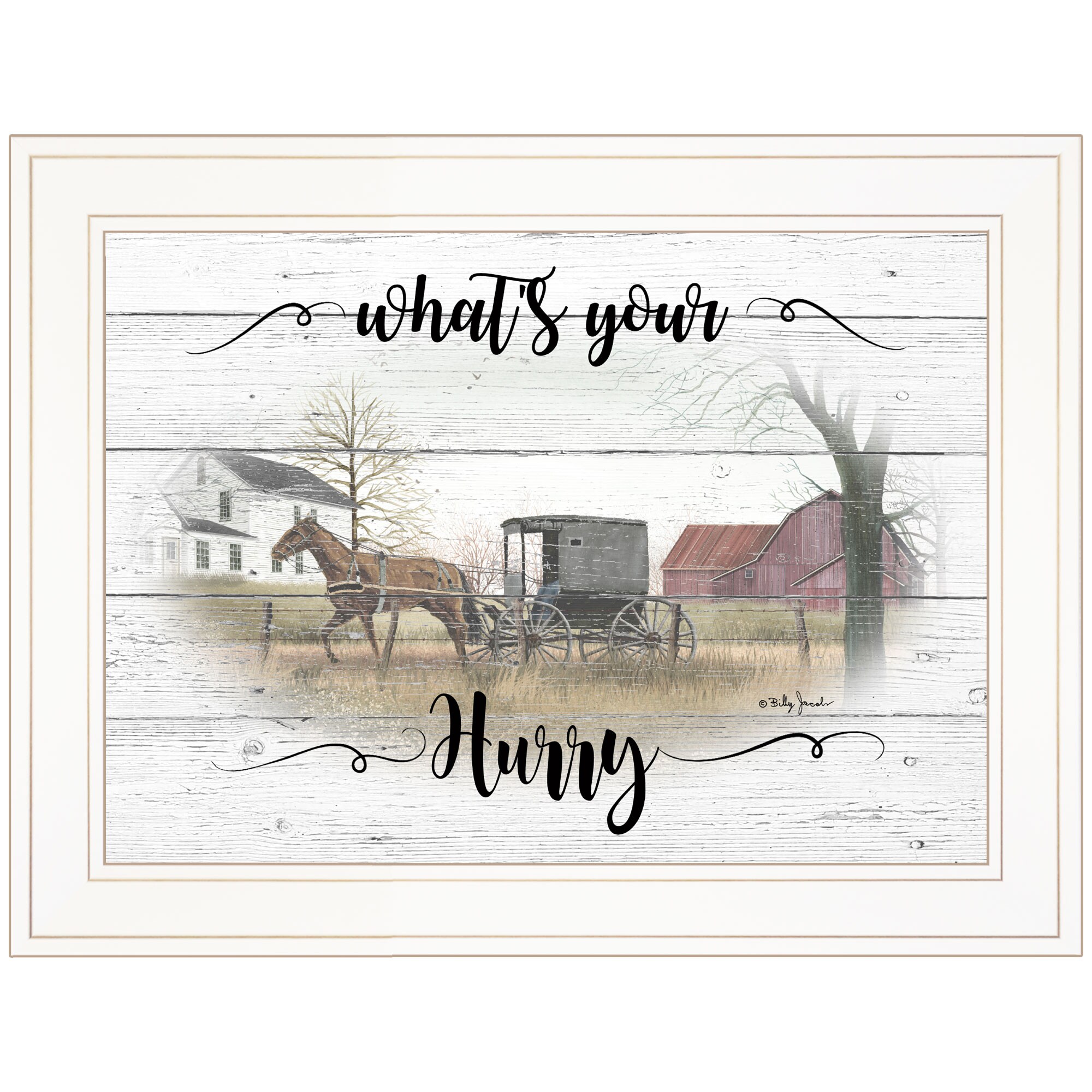 Trendy Decor 4U BJ1219-226G What's Your Hurry Billy Jacobs White Wood Framed 15-in H x 19-in W Inspirational Paper Print