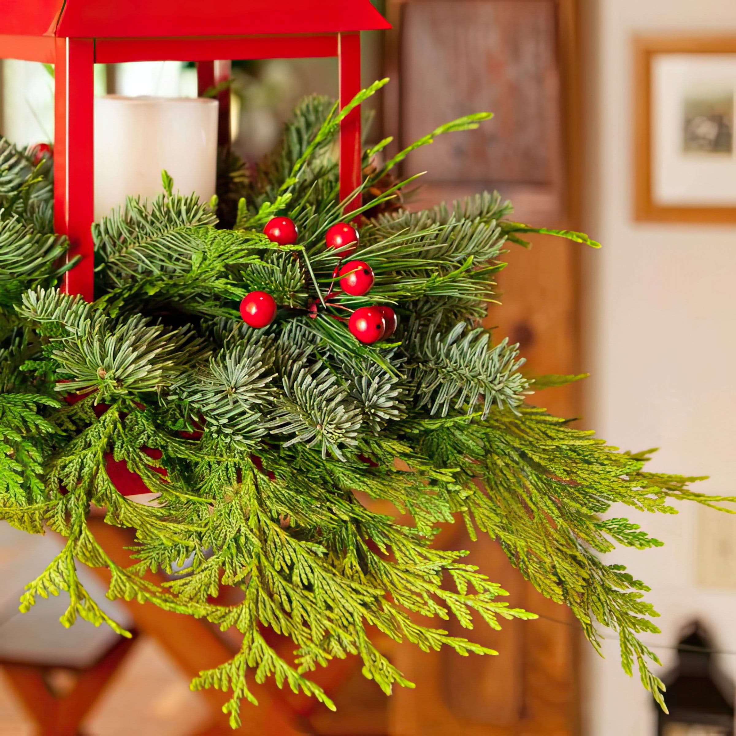 National Plant Network LW1862 Fresh-Cut-Christmas-Decorations - View #3