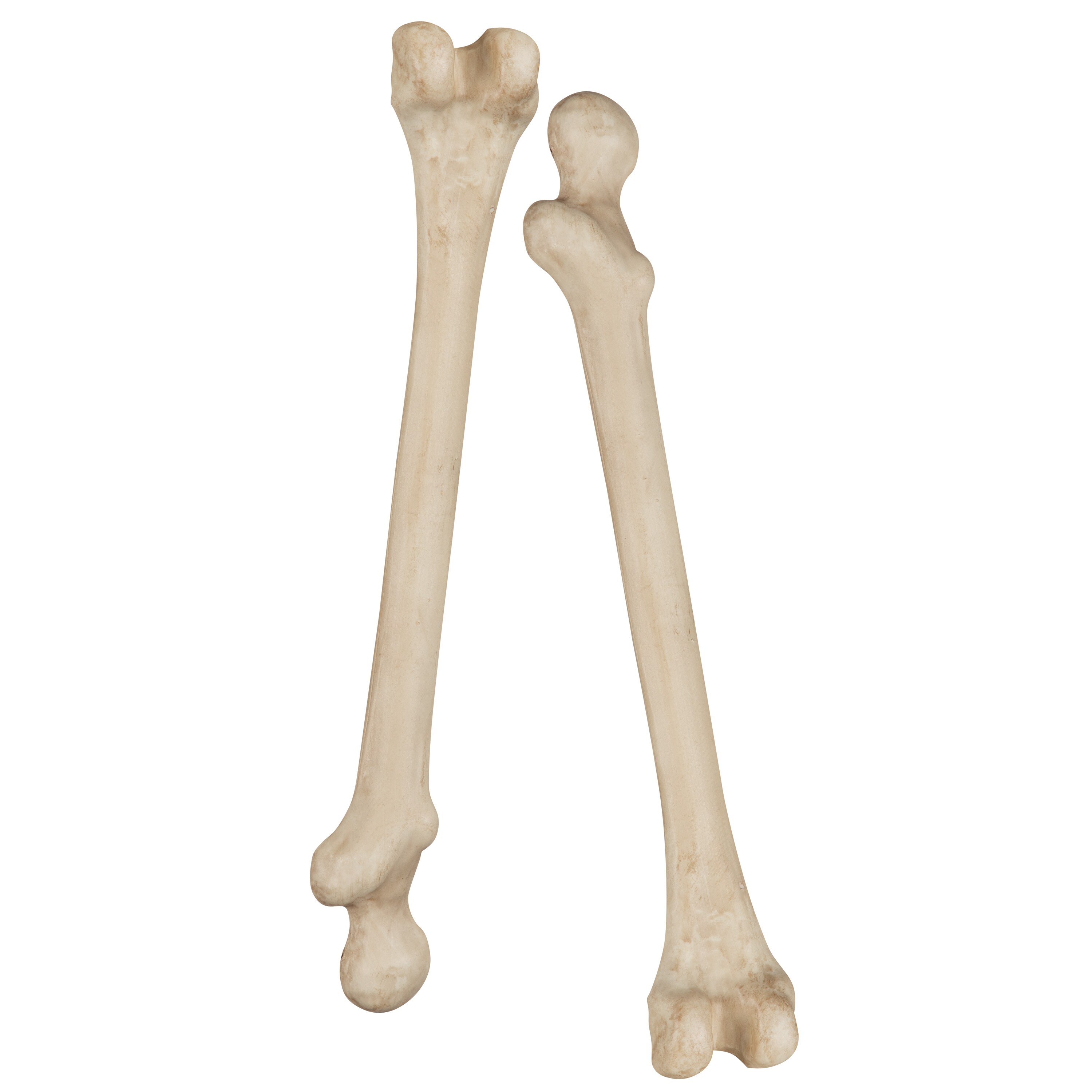 Haunted Living 553958 Table-Halloween-Decor - View #4
