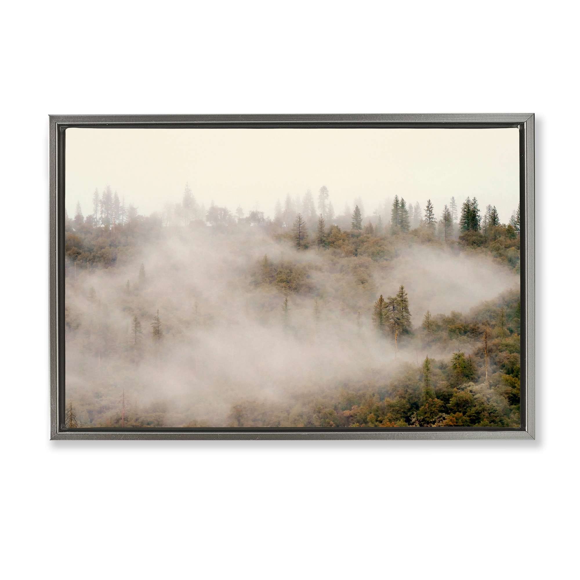 Stupell Industries BU-144-FFL-16X24 Morning Fog over Trees Floating Frame design by Gemma Bardot