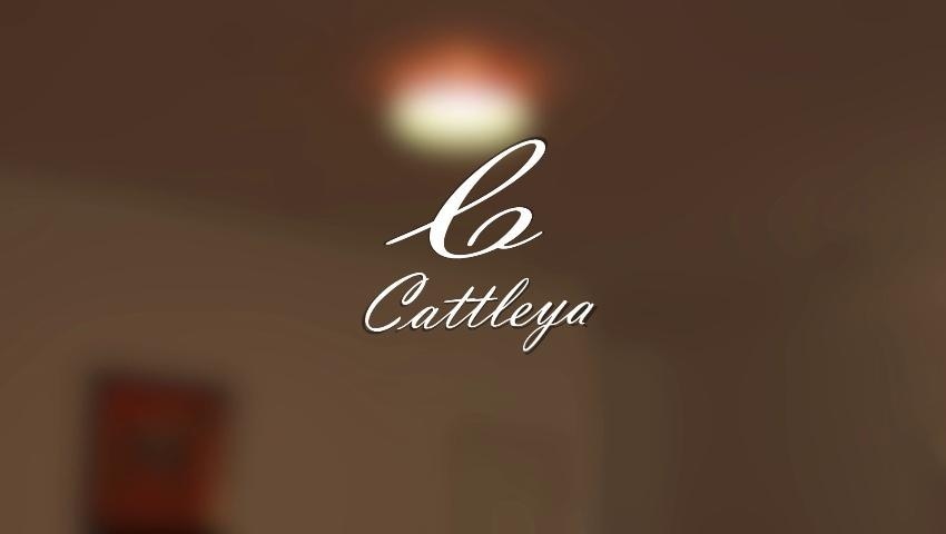 A thumbnail for the video