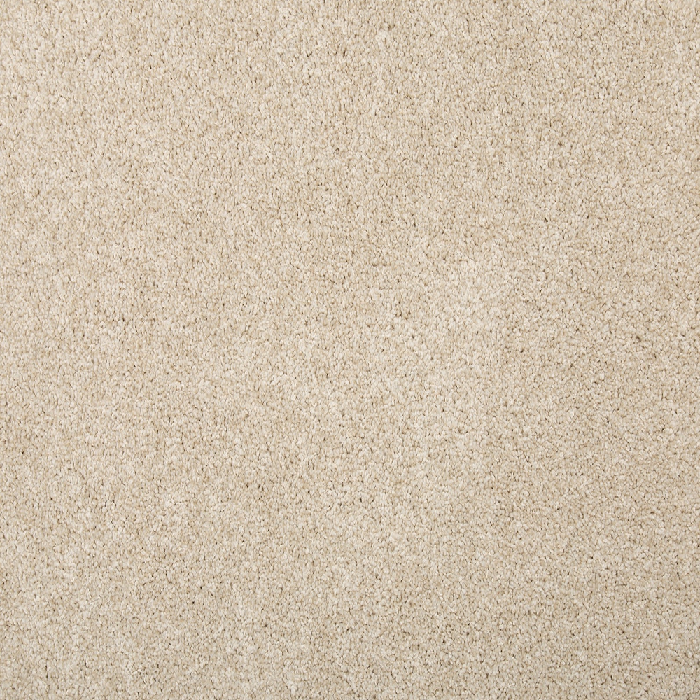 STAINMASTER Memorable Touch I Damask Brown 35-oz sq yard Solution-dyed polyester Textured Indoor Carpet