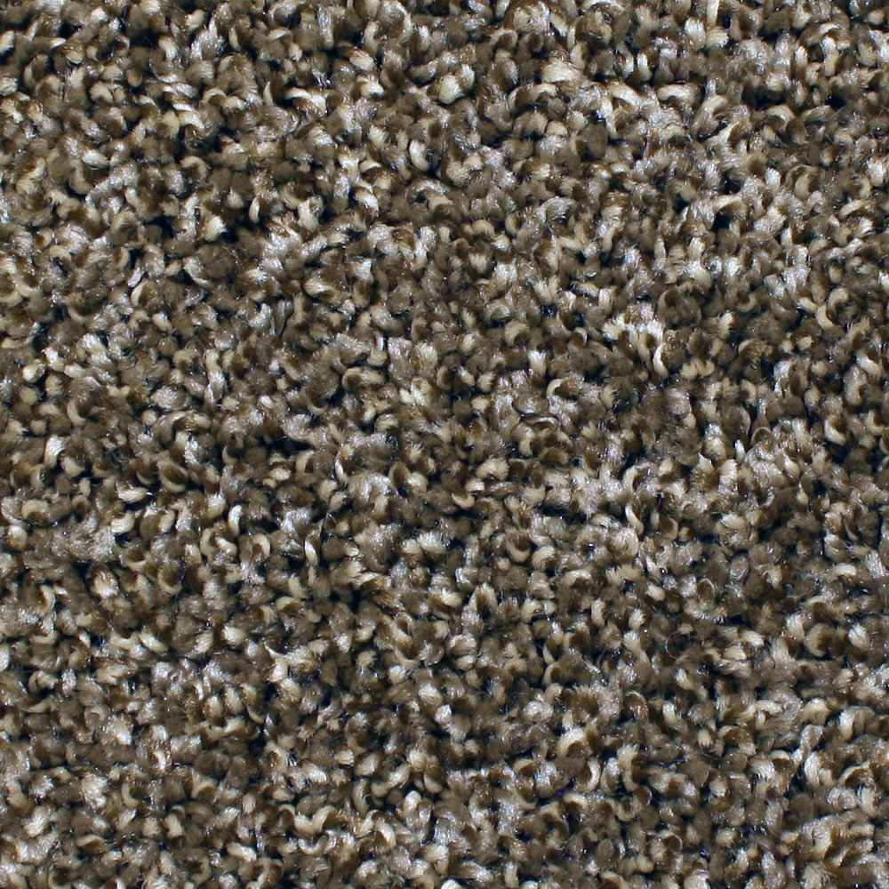 STAINMASTER FB029-312-S (Sample) Marl Brazilian Brown Brown 29.0-oz sq yard Polyester Textured Indoor Carpet