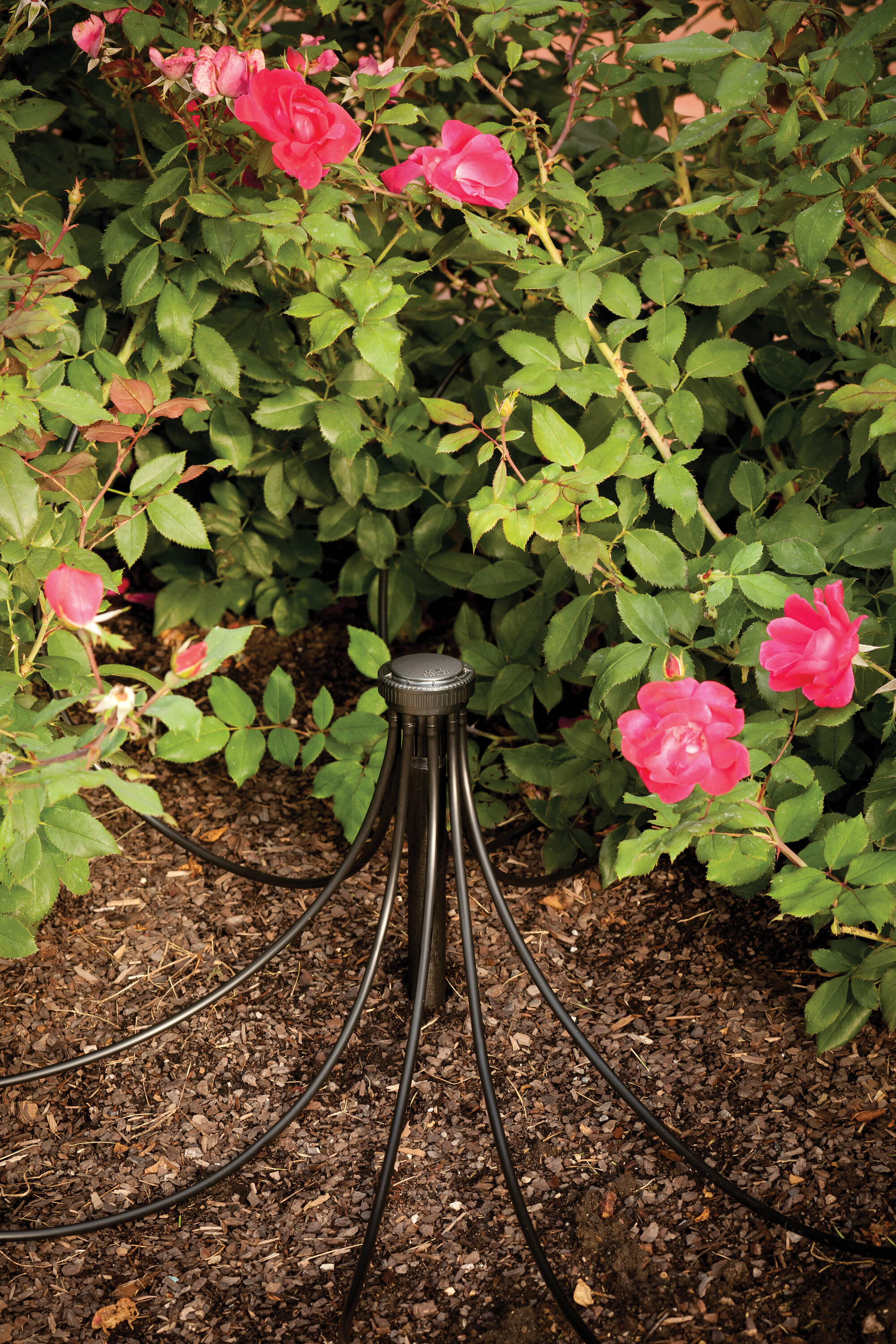 Rain Bird MANIFPR9SX Drip-Irrigation-Manifolds - View #2