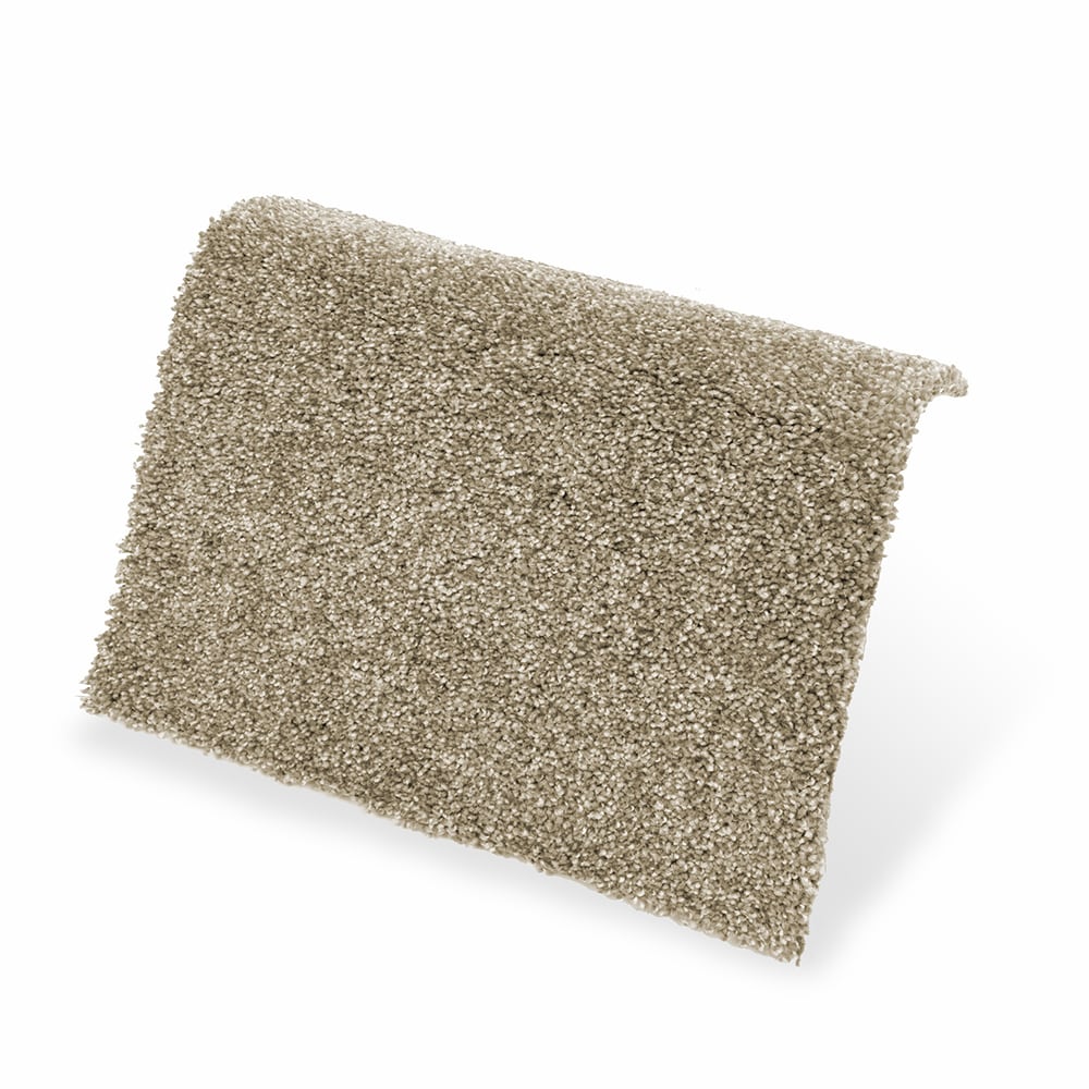 STAINMASTER LW195-12-L007 Carpet-Panel - View #4