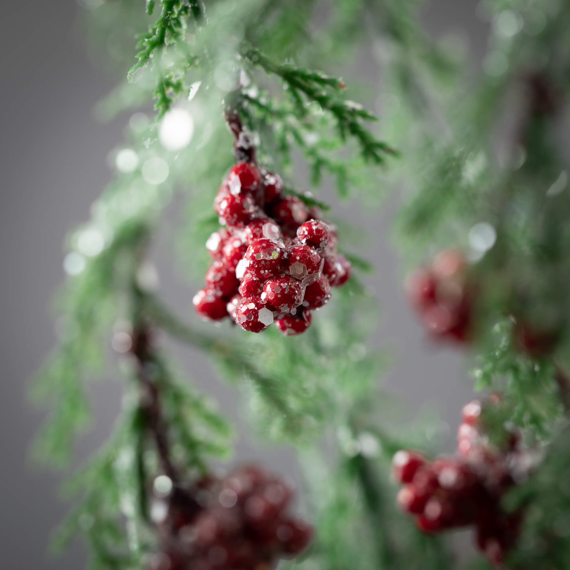 Sullivans SP1264 Christmas-Picks-Clips - View #2