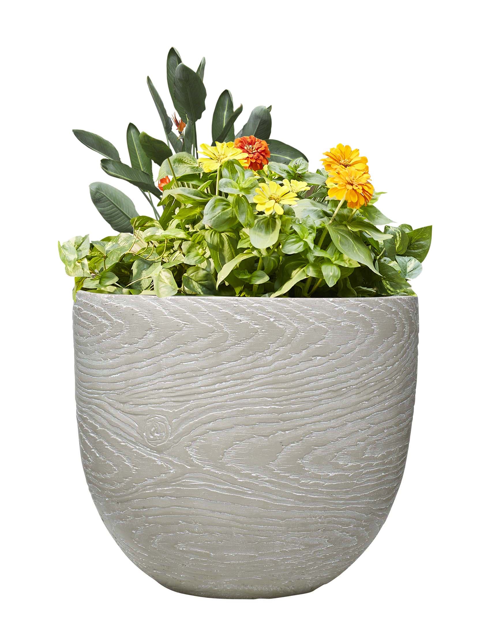 Medium (8-25 quarts) Pots & Planters at