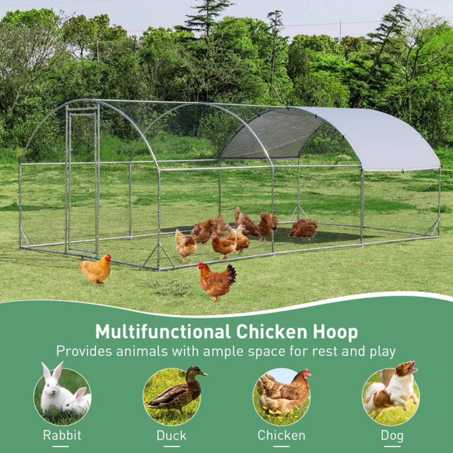 Mondawe MO-6P166161 Chicken-Coops-Rabbit-Hutches - View #3