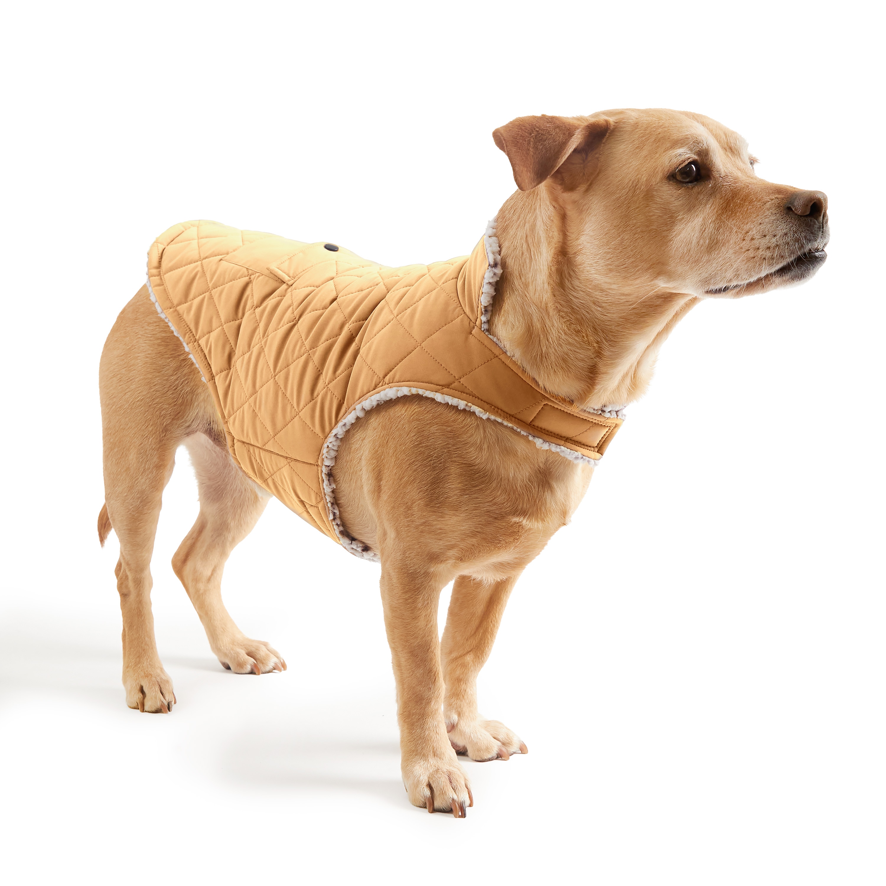 Free Country 467POF530R CAMEL XL Dog-Apparel - View #3