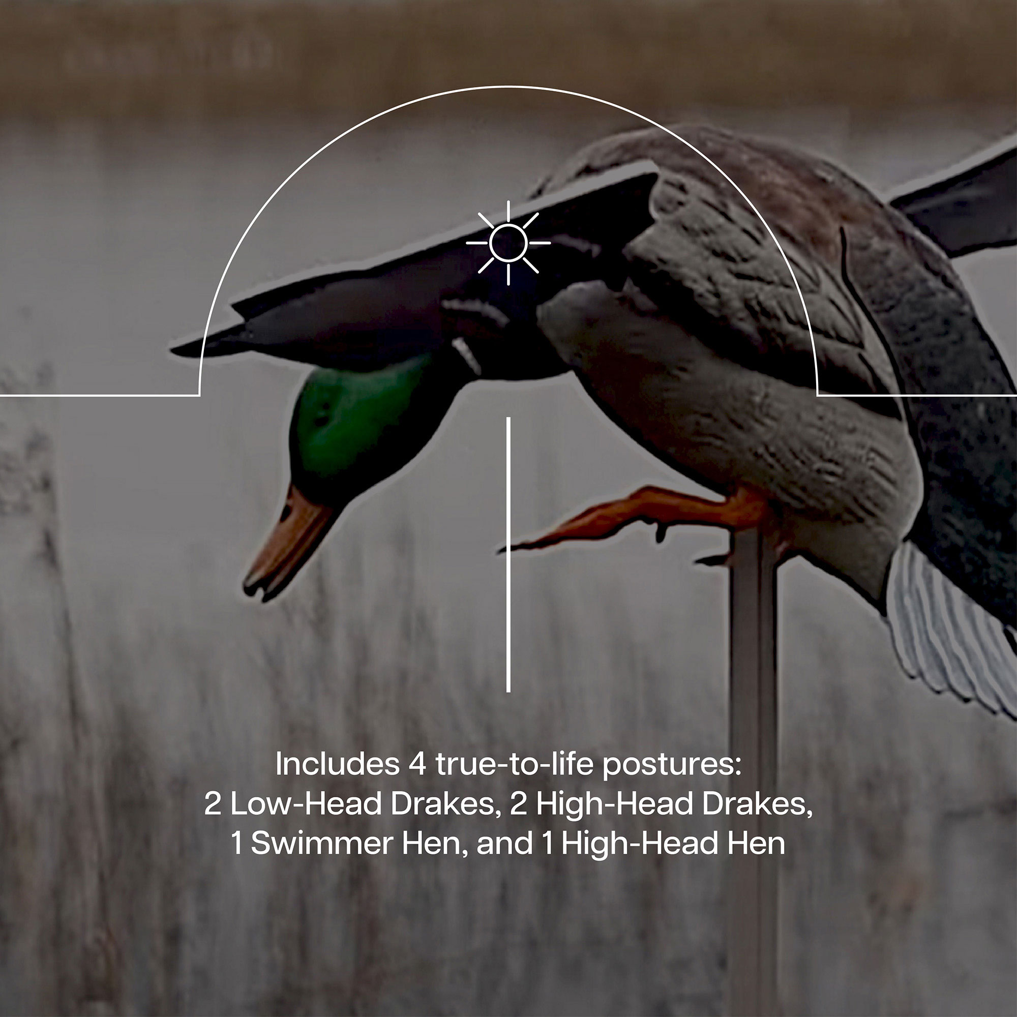 Avian X 3 X AVX-AVXDP100 Hunting-Equipment - View #4