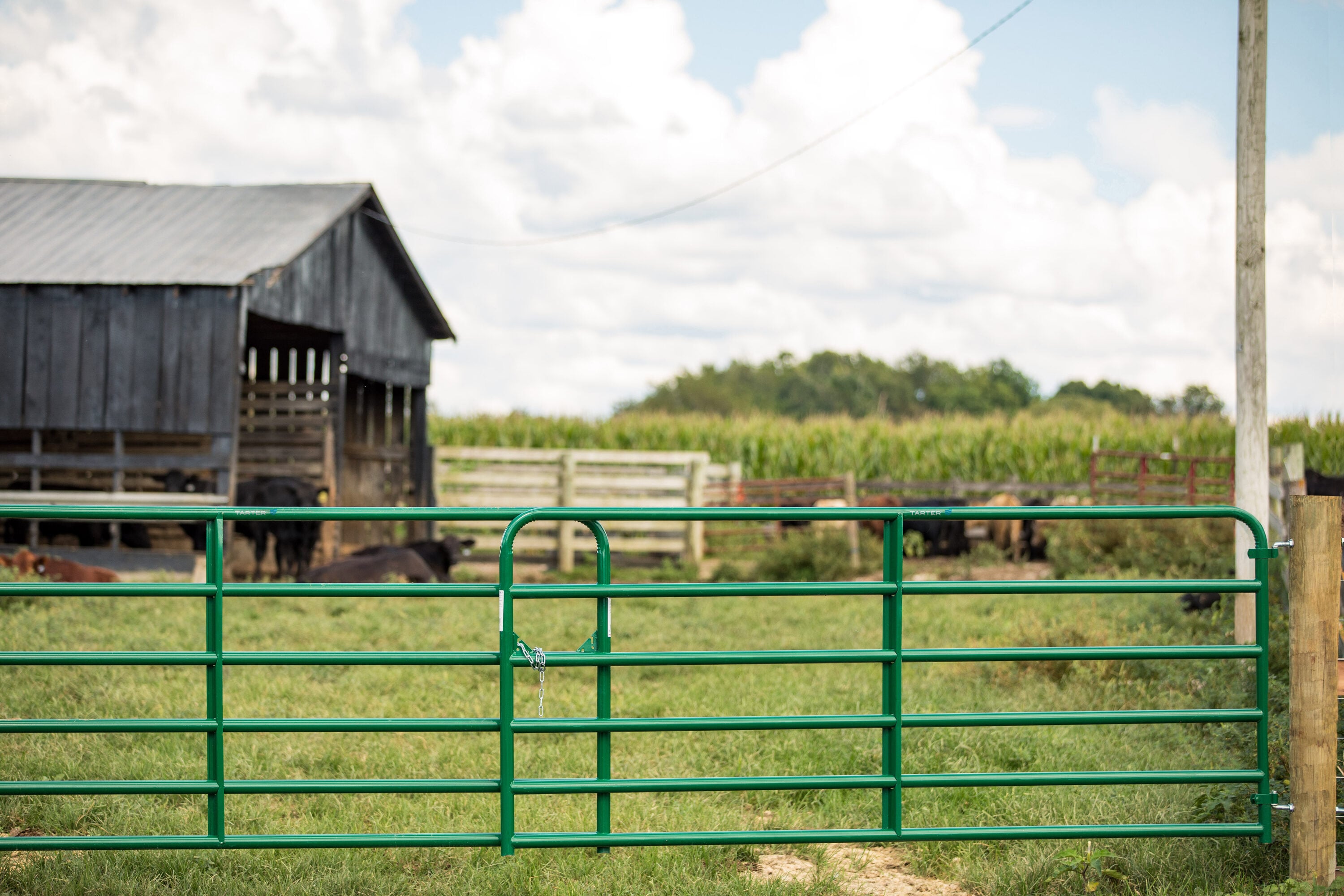 Tarter 2GG16 Fence-Gates - View #3