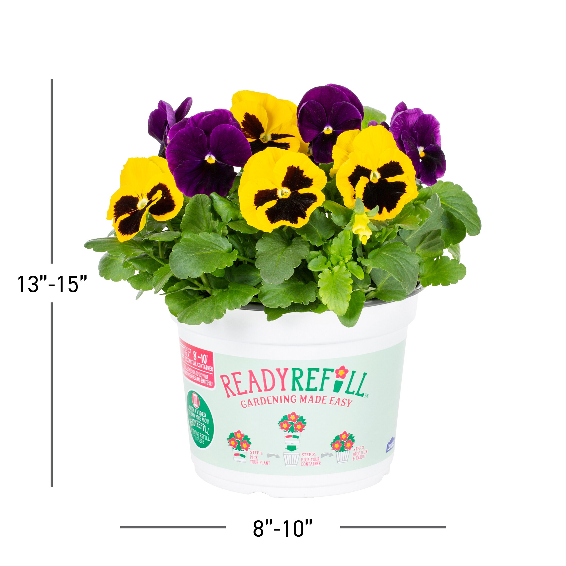 Ready Refill 4860 annuals - View #3