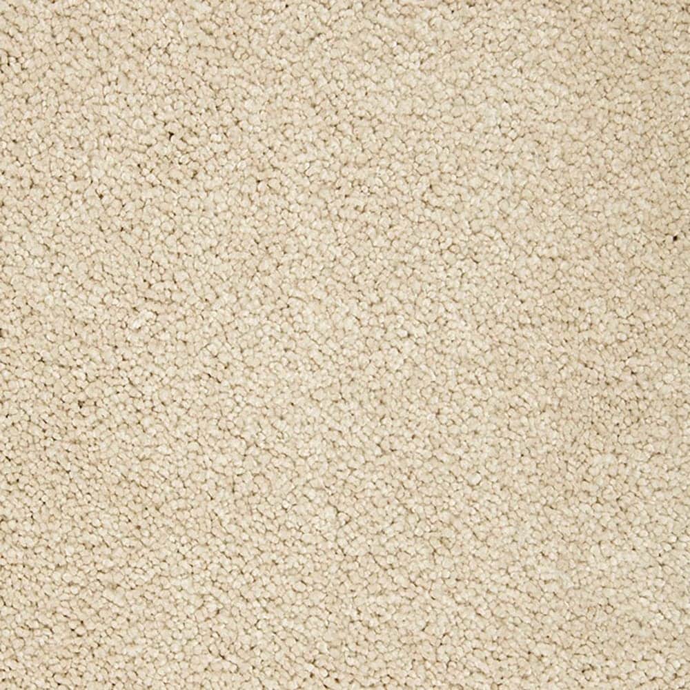 STAINMASTER PetProtect STP54-L011-0808 (Sample) Beau Dacious Candle Wax Brown 48-oz sq yard Triexta Textured Indoor Carpet