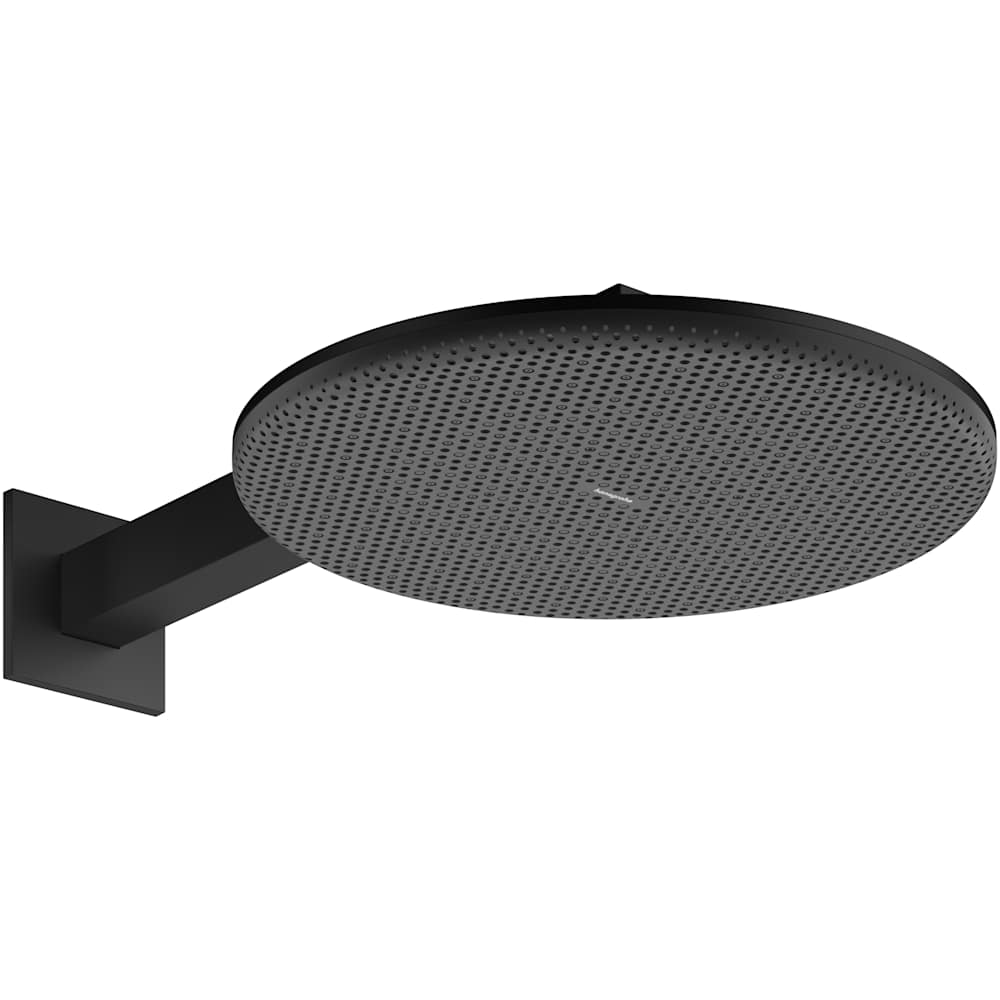 Hansgrohe  24542 Raindance Alive 1.75 GPM Multi Function Shower Head  Less Rough In
