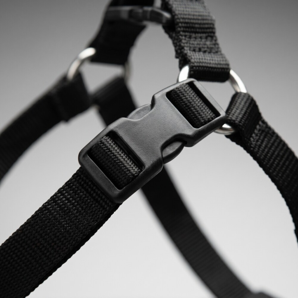 LupinePet 27545 Dog-Collars-Harnesses - View #2