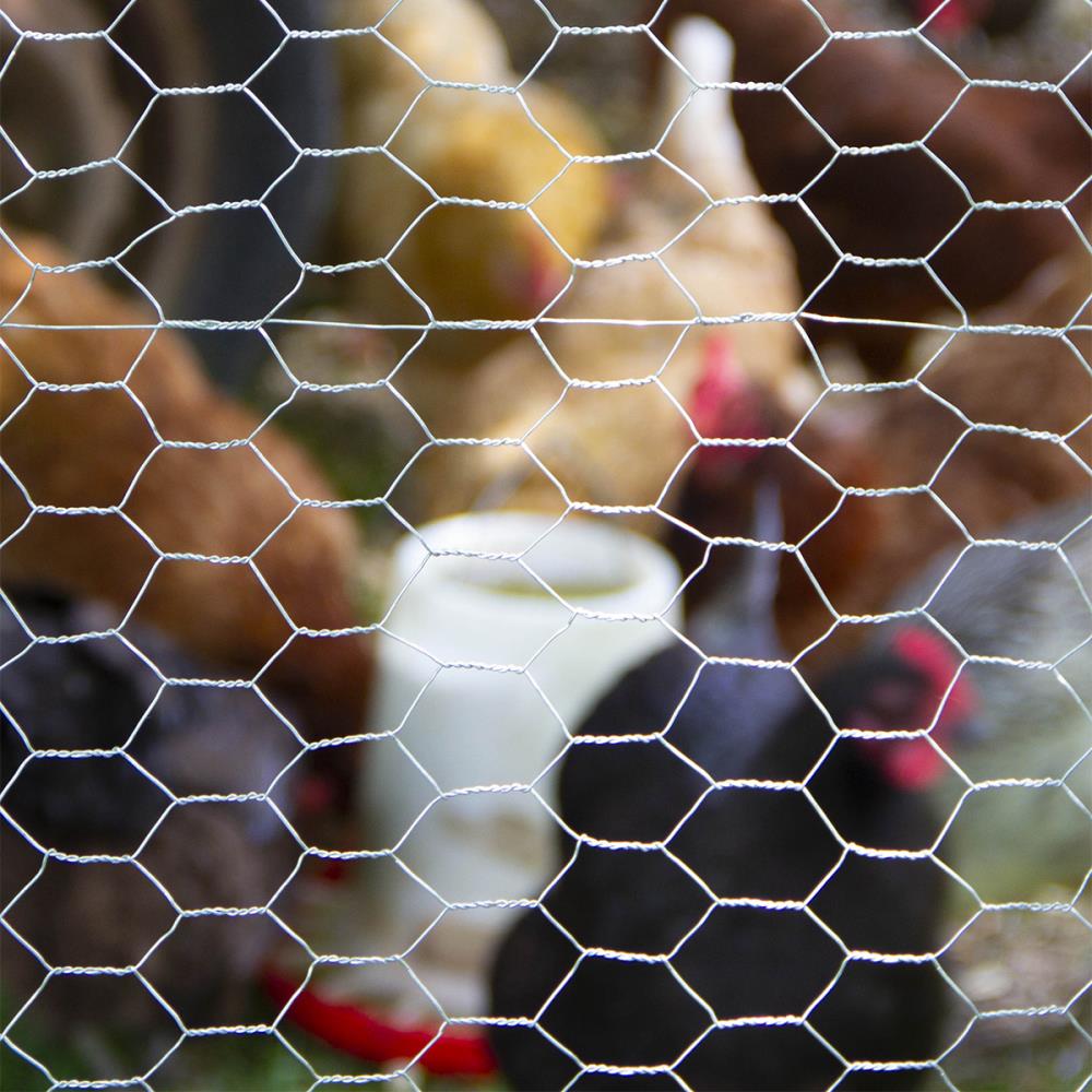 Chicken Wire Mesh 400mm X 5m Wire Mesh Galvanized Hexagonal Wire Mesh Craft  Project Gardening Home Decor