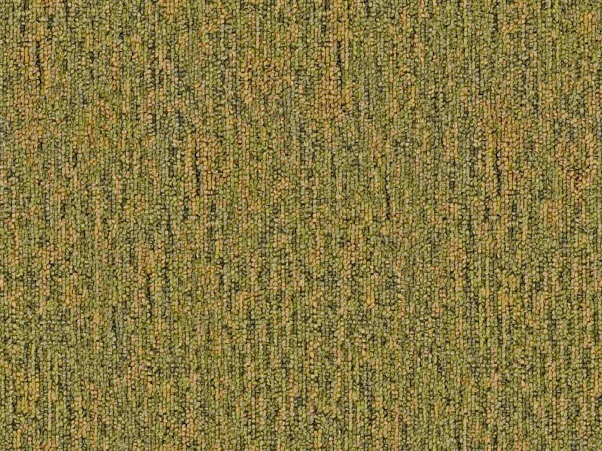  B6988-13-1200-AB Cadet 20 Sapling Berber/Loop Indoor Carpet
