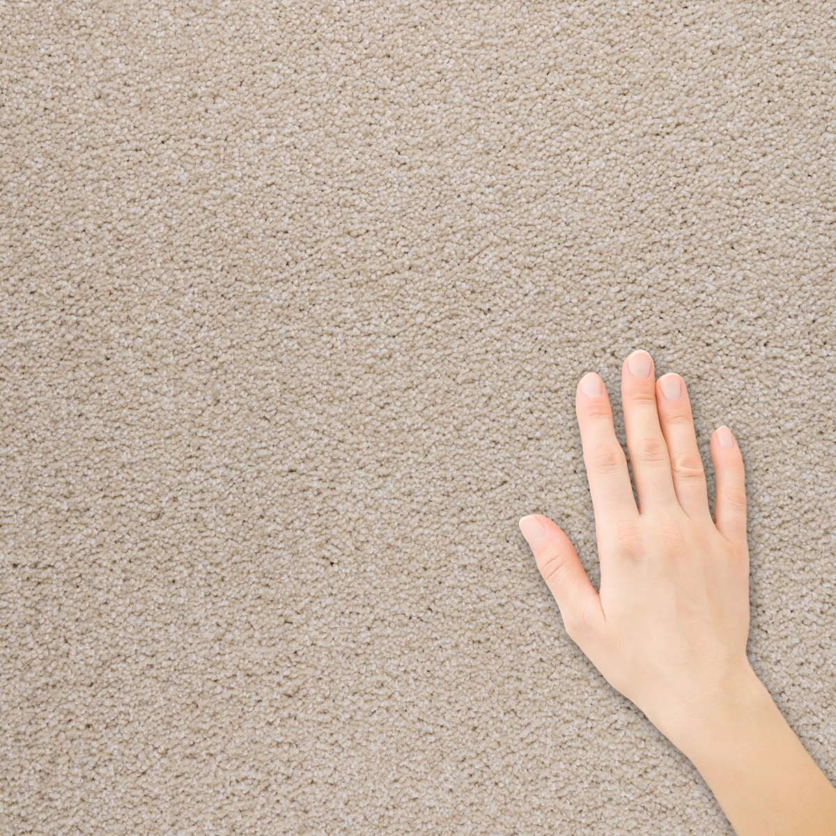 STAINMASTER S9850-10002-1200-MO Carpet-Panel - View #3