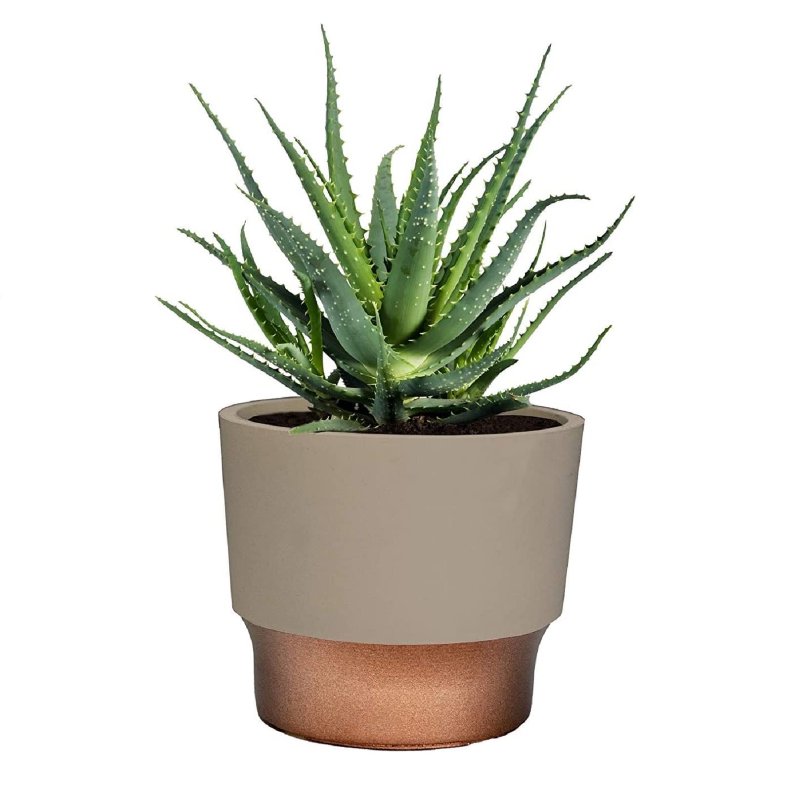 The HC Companies SSP03000E67 Planter-Window-Box - View #5