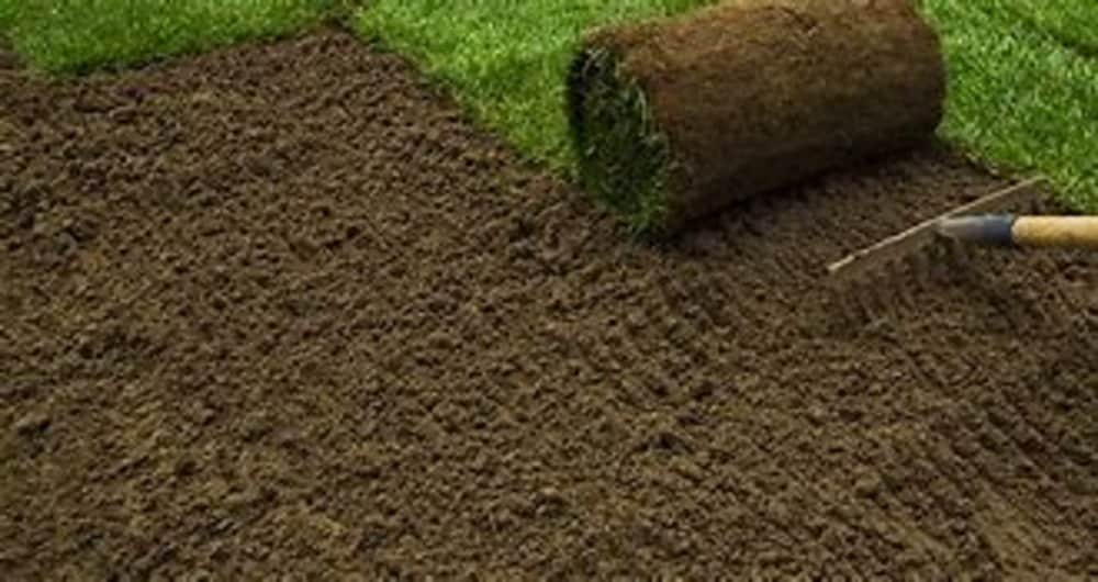  787875 Garden-Soil-Soil-Amendments - View #2