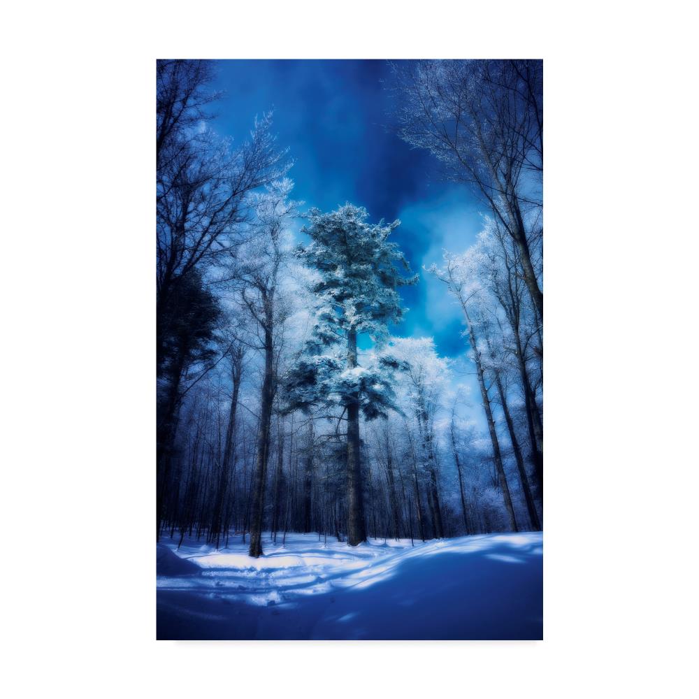 Trademark Fine Art ALI44363-C1624GG Framed 24-in H x 16-in W Landscape Print on Canvas