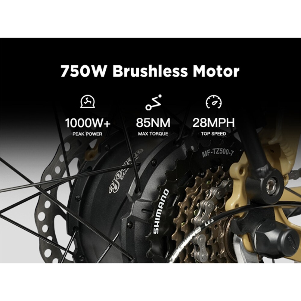 Young Electric 12803024WHI bikes - View #11