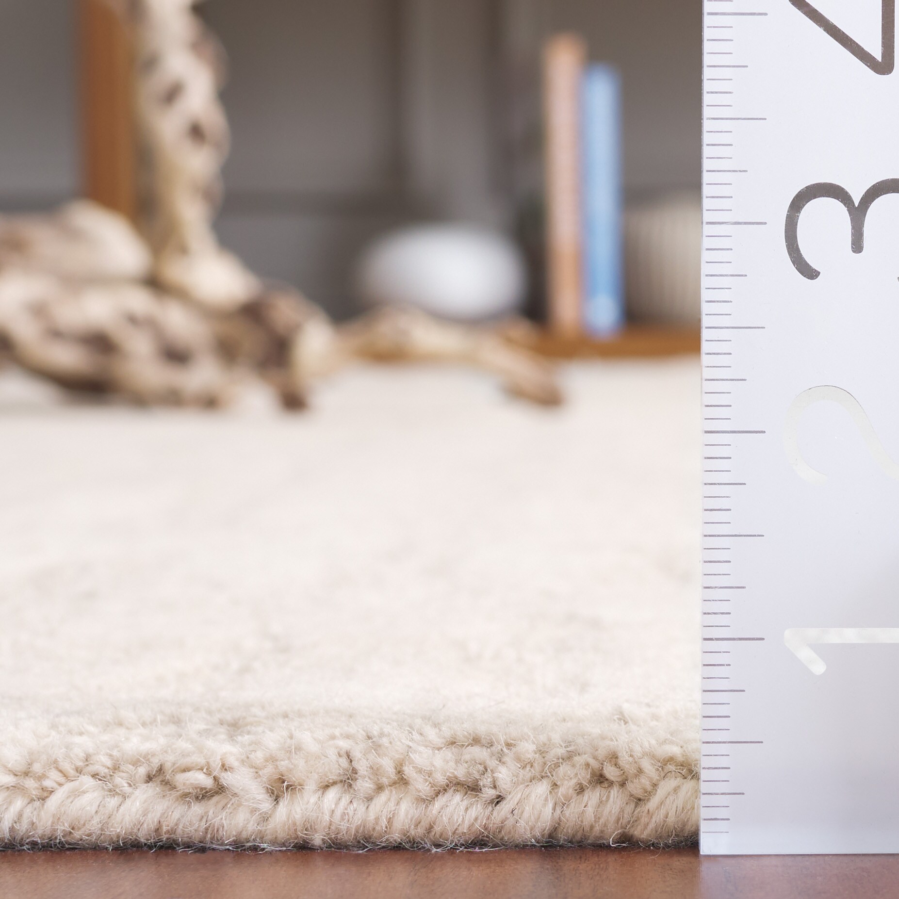 Safavieh EBN918B-4 rugs - View #5