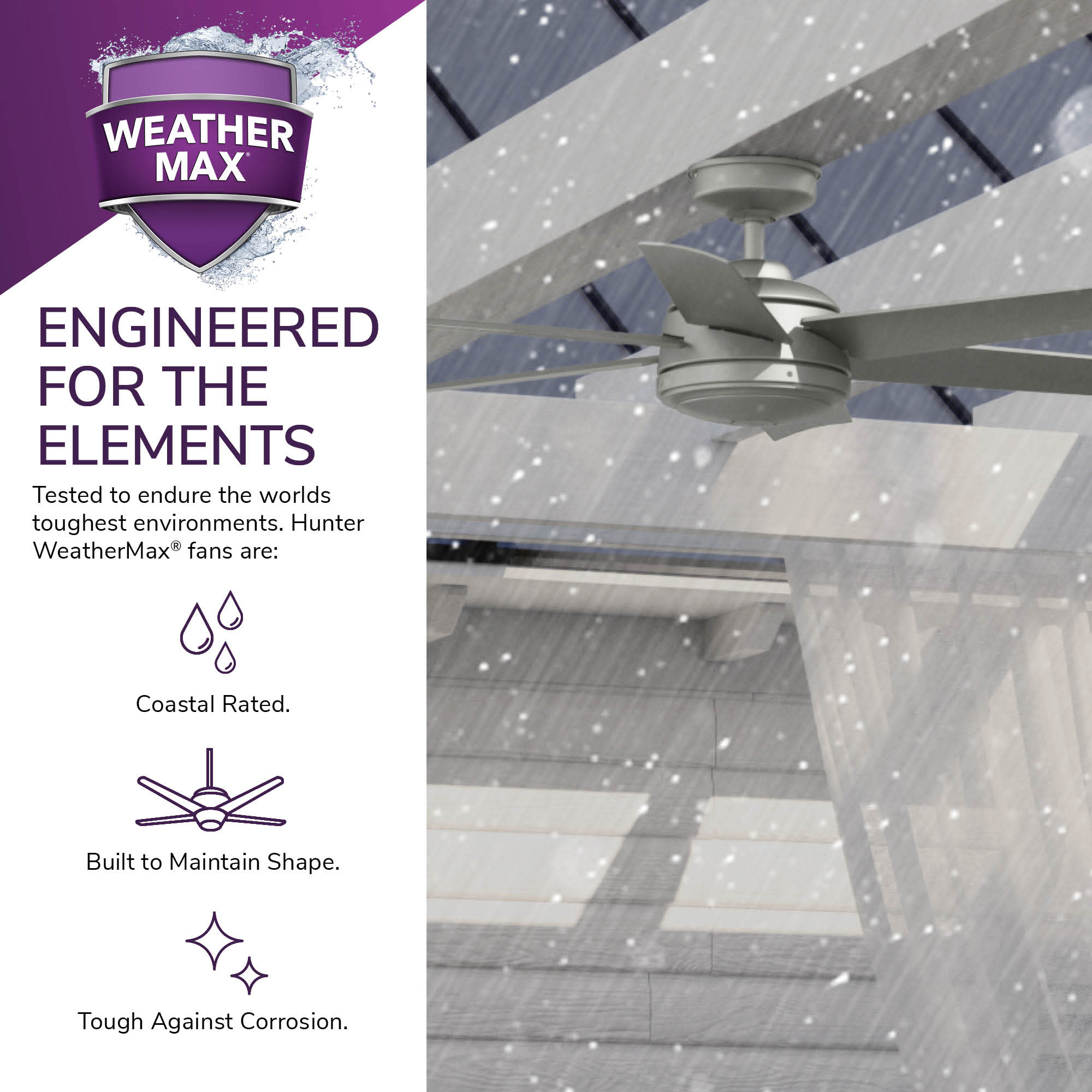 Hunter 51202 Ceiling-Fans - View #18