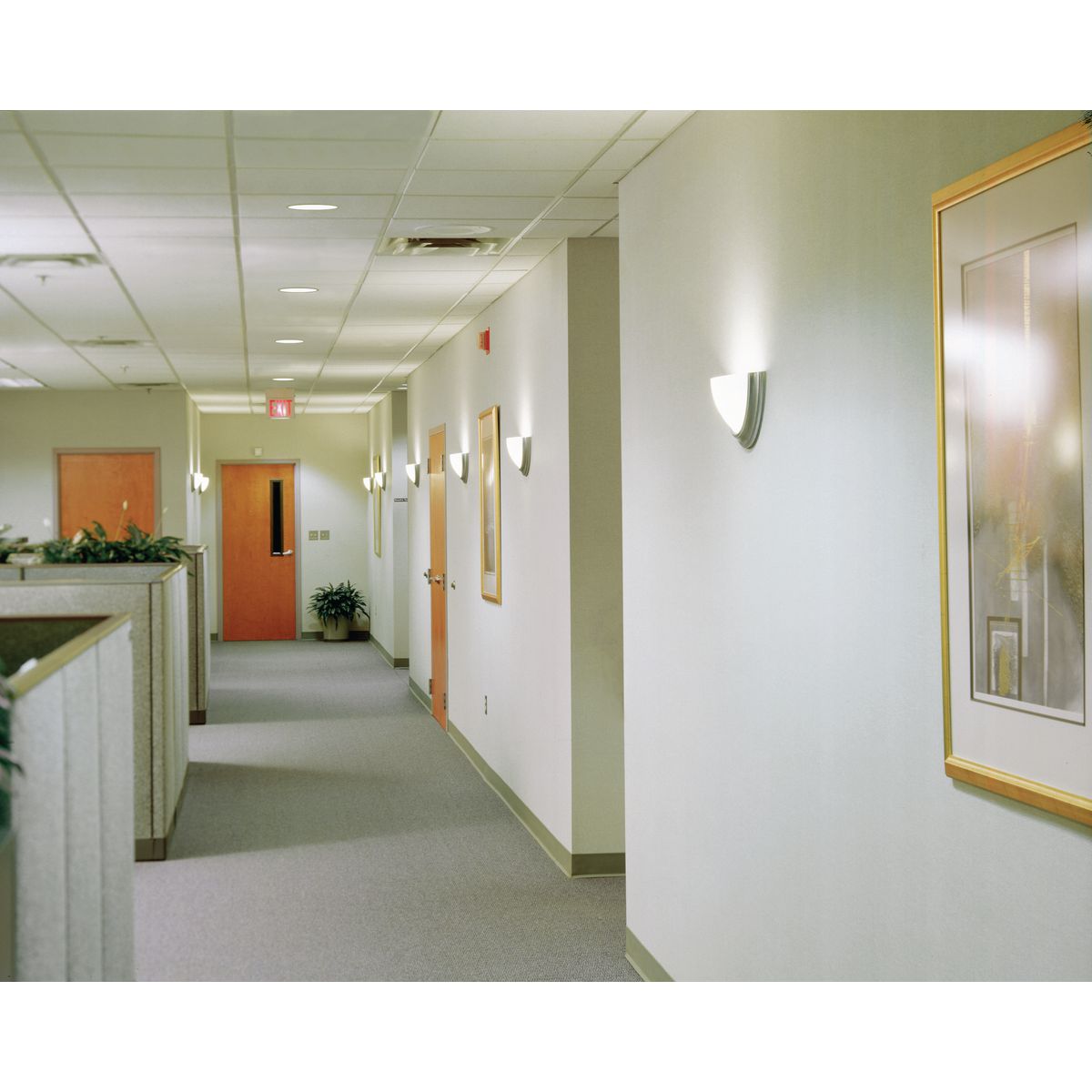 Progress Lighting P7170-09 b090000 - View #3