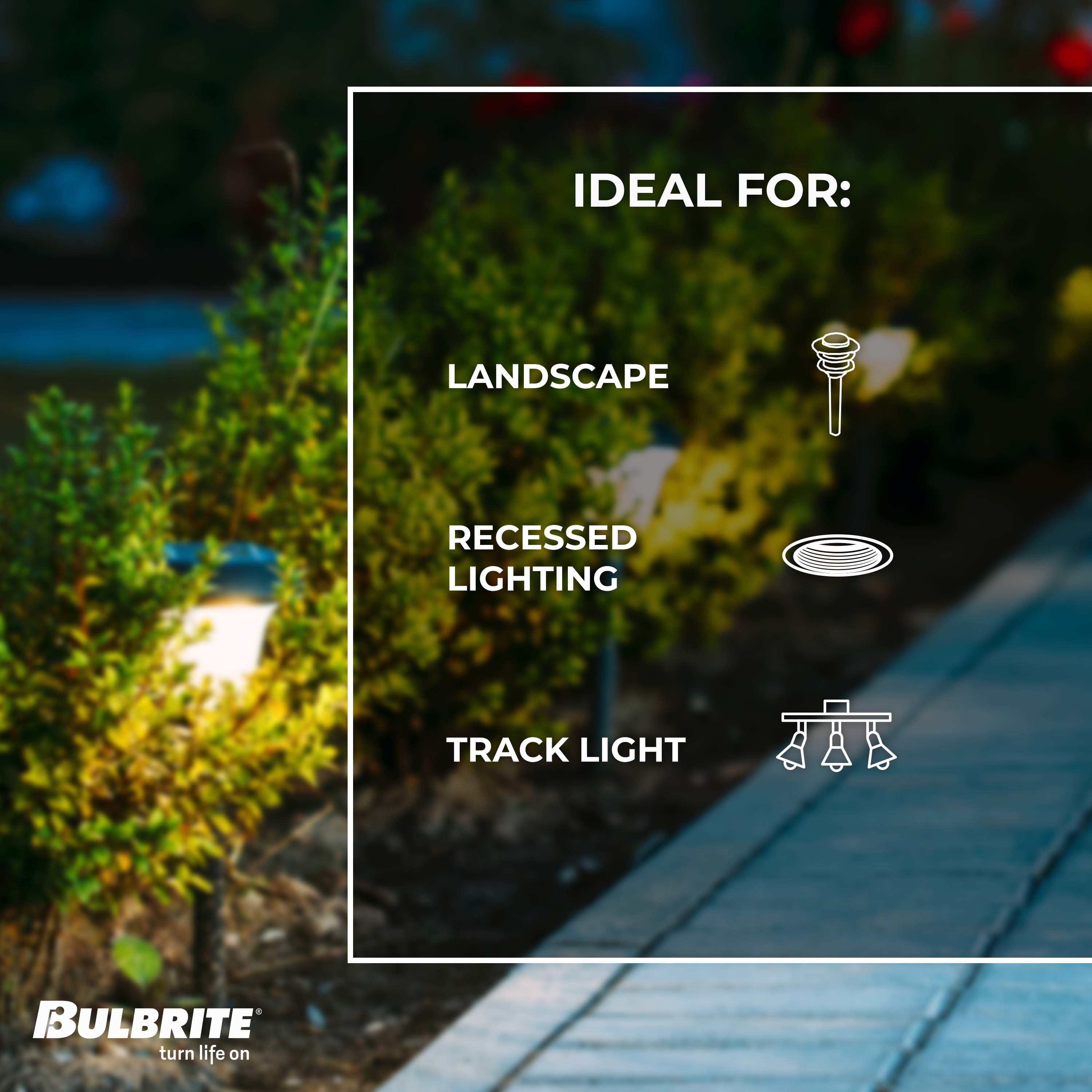 Bulbrite 861784 Led-Flood-Spot-Light-Bulbs - View #5