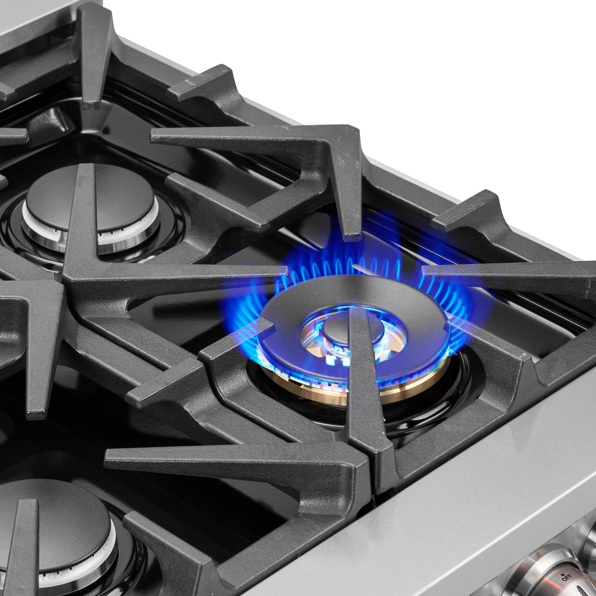 Massimo 48-inch Stainless Steel Dual Fuel Range with 8 Burners
