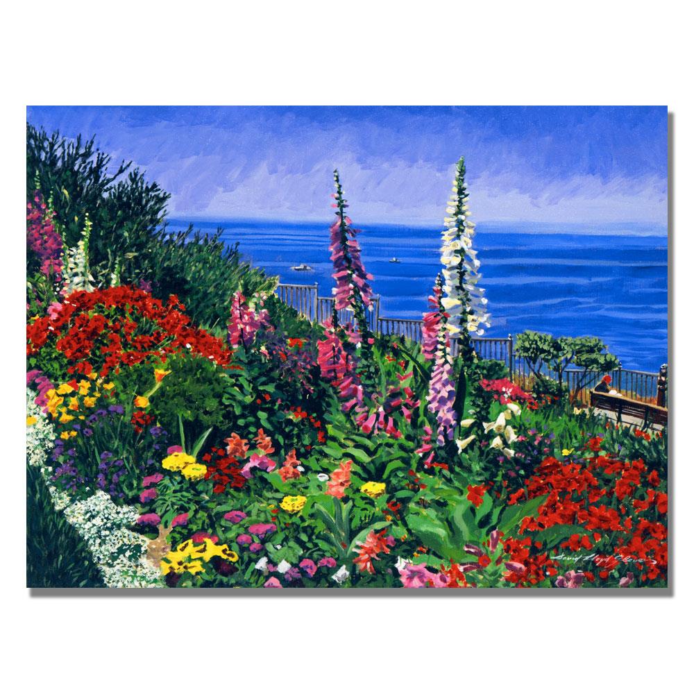 Trademark Fine Art DLG0176-C1824GG Framed 18-Inches H x 24-Inches W Landscape Canvas Print