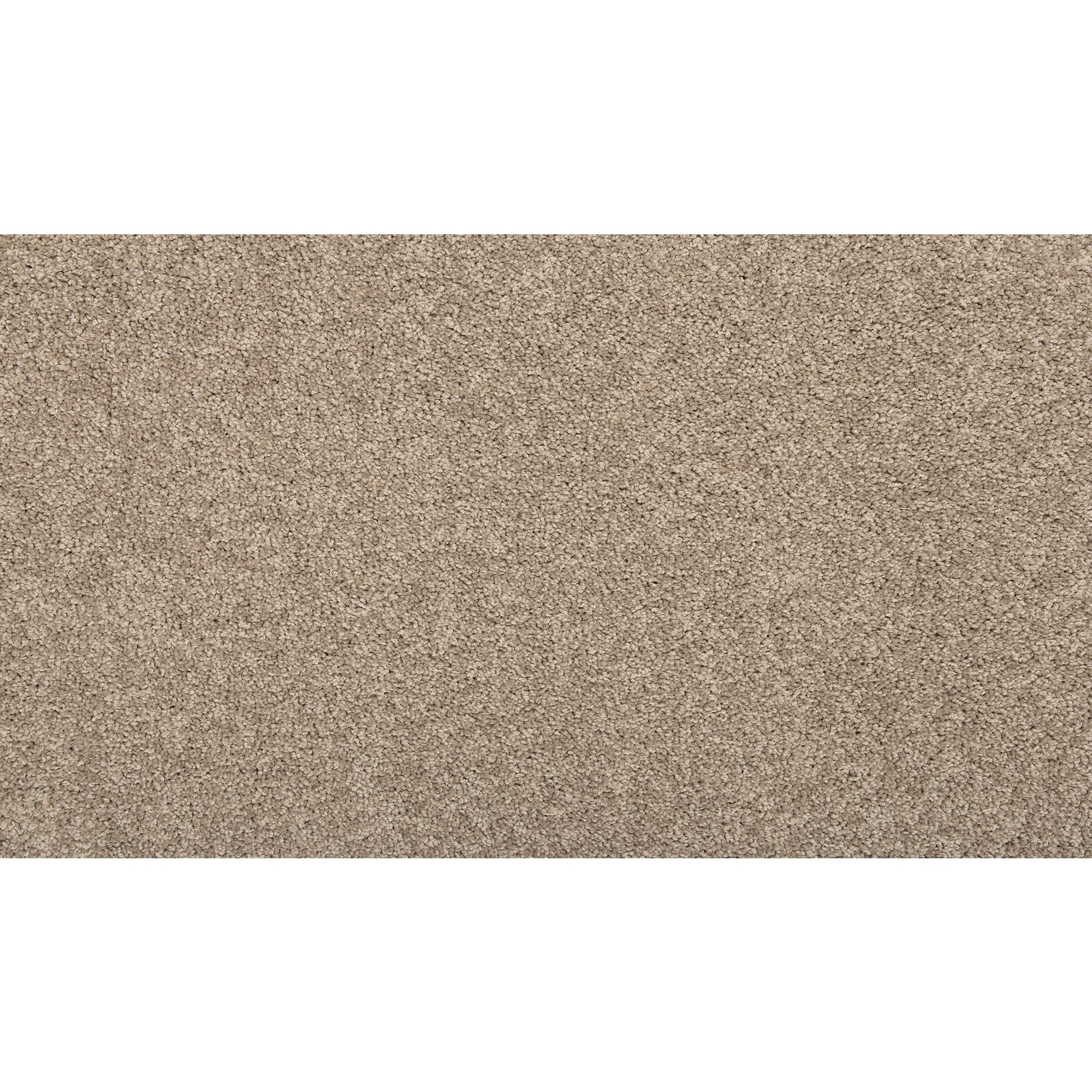  SS026-12-L002 Pro Renovations - Inspired Ace Haven Brown 29-oz sq yard Solution-dyed polyester Textured Indoor Carpet