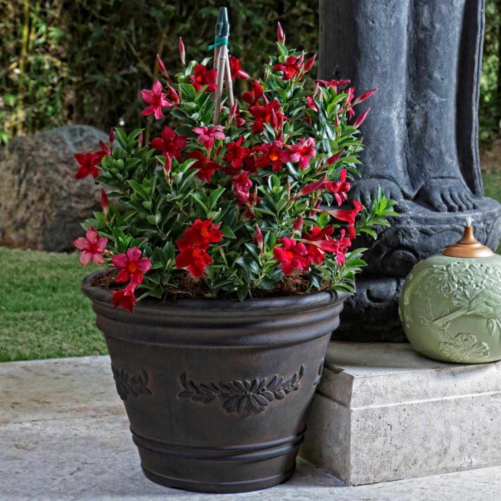Sunnydaze Decor DG-769 Planter-Window-Box - View #2