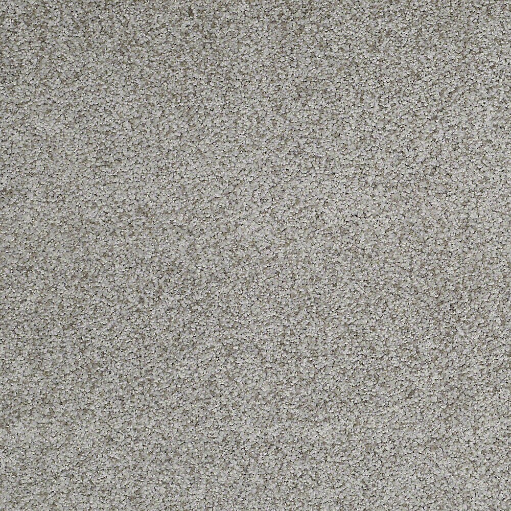 STAINMASTER 7L719-510-SAMP (Sample) Signature Advanced Beauty II Medallion Gray Nylon Textured Indoor Carpet