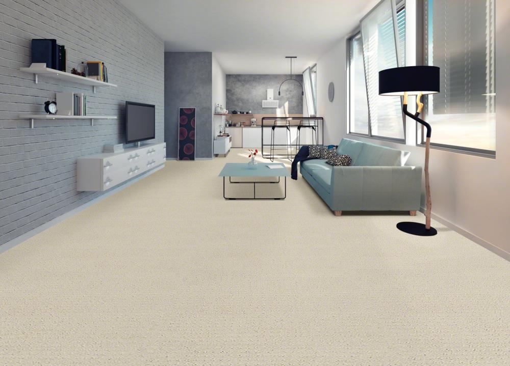 STAINMASTER 7L77000172 Carpet-Panel - View #2