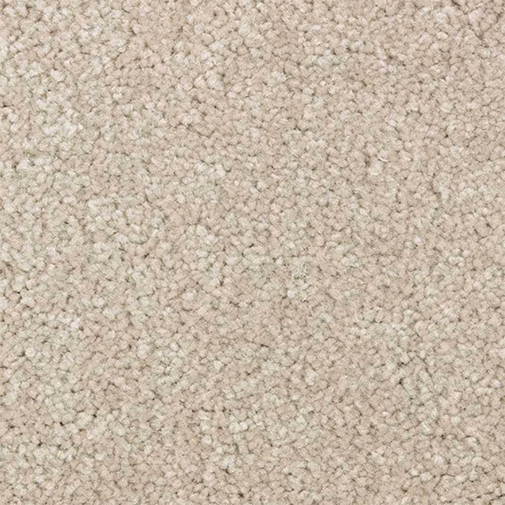 STAINMASTER STP68-15-L009 Serenity Stride II Melody Brown 60-oz sq yard Polyester Textured Indoor Carpet