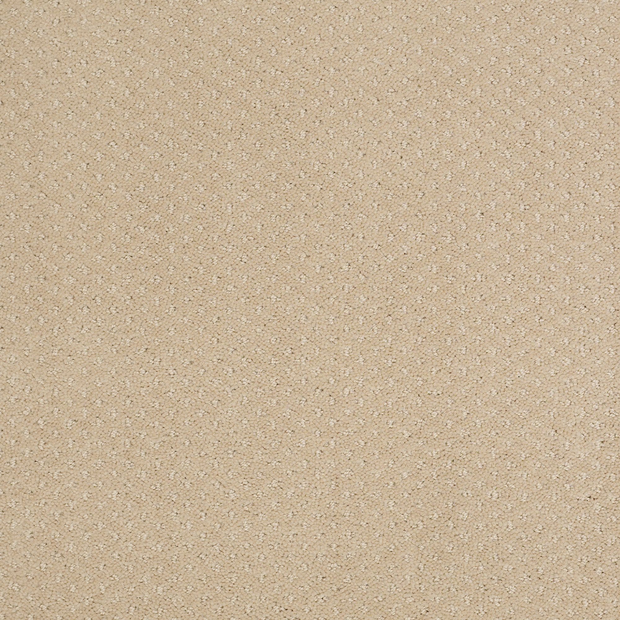 STAINMASTER 7L905 - 182 - SAMP (Sample) Crieve Hall Soft Honey Brown 25-oz sq yard Nylon Pattern Indoor Carpet