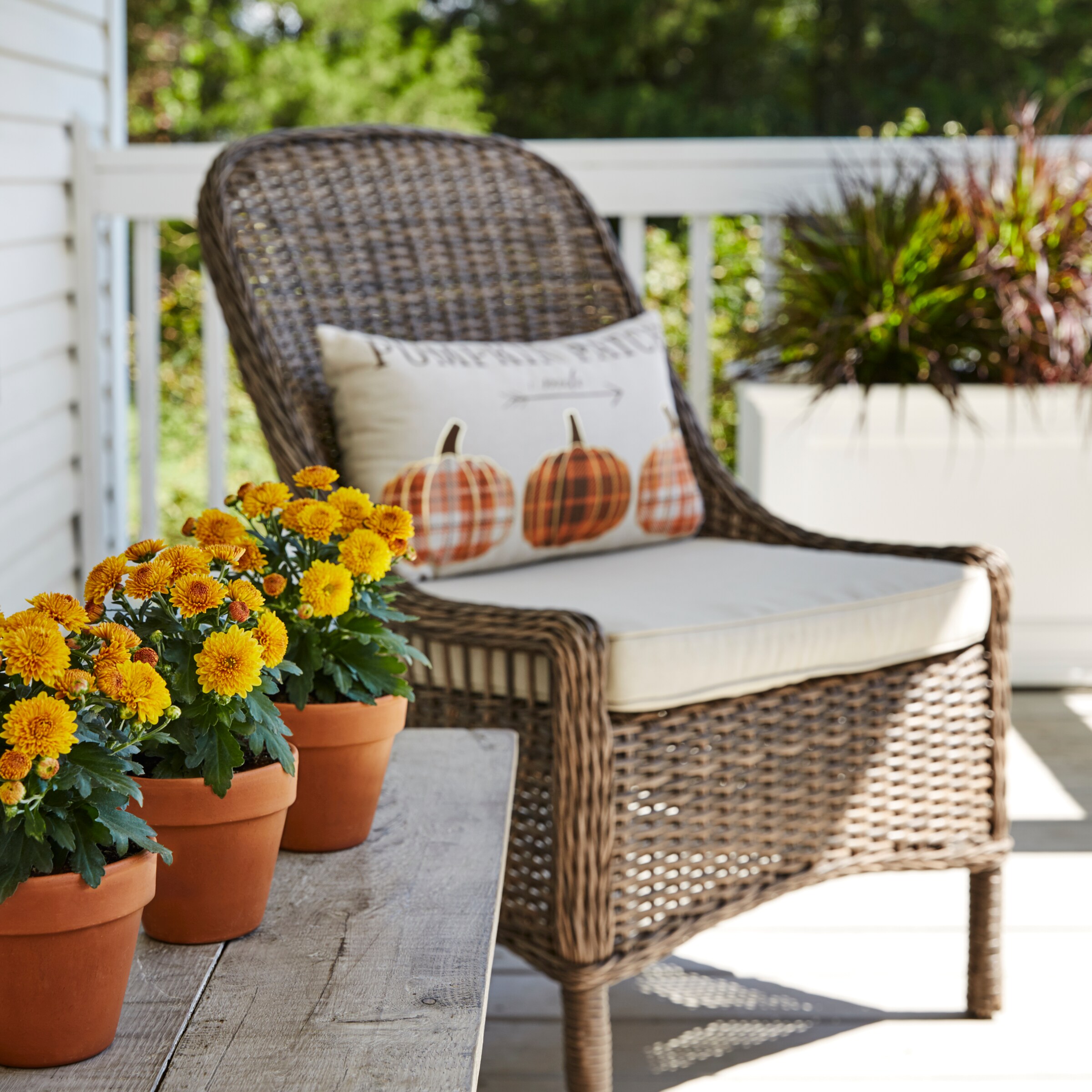 Lowe's 857948 annuals - View #4