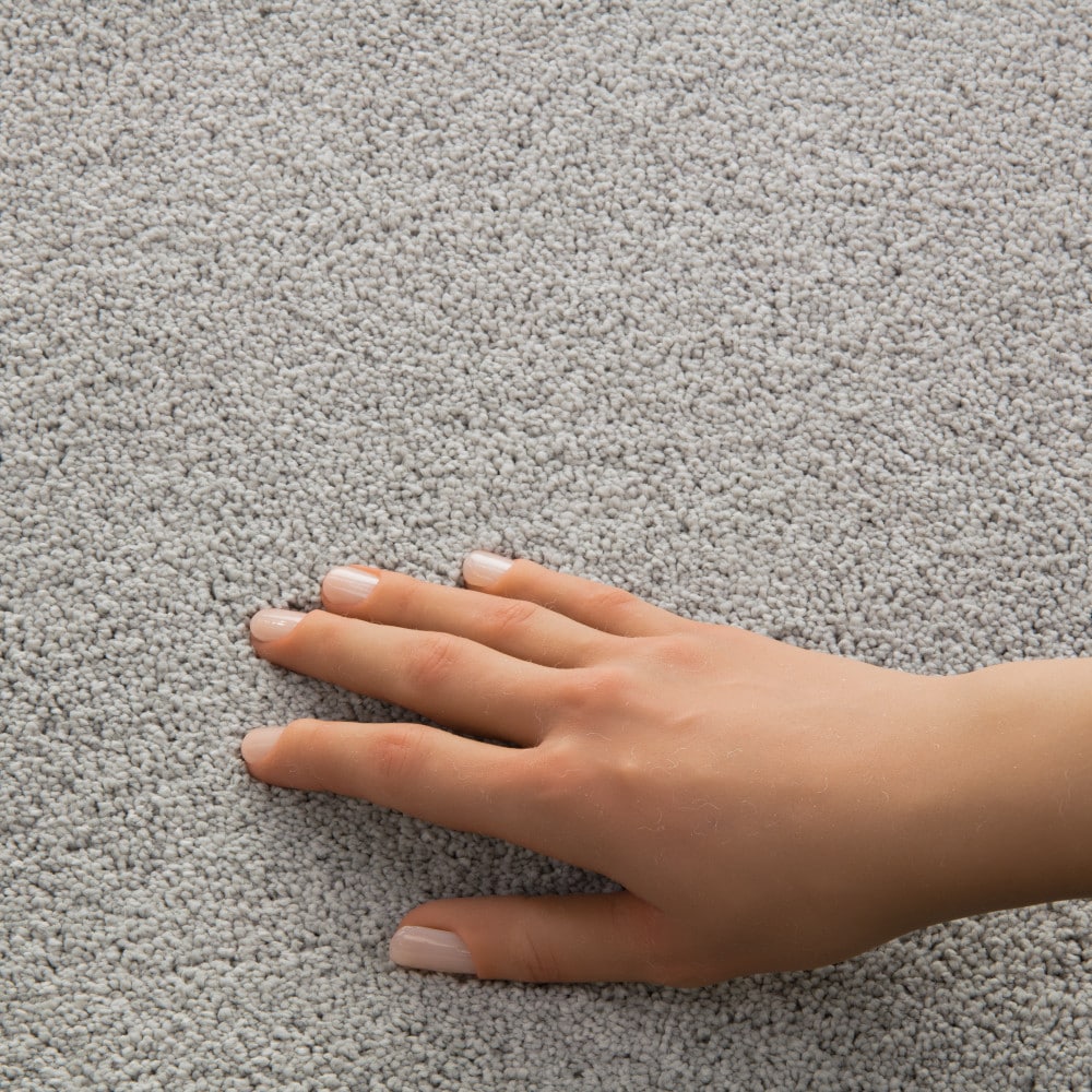 STAINMASTER PetProtect 7L970-501-SAMP Carpet-Samples - View #4