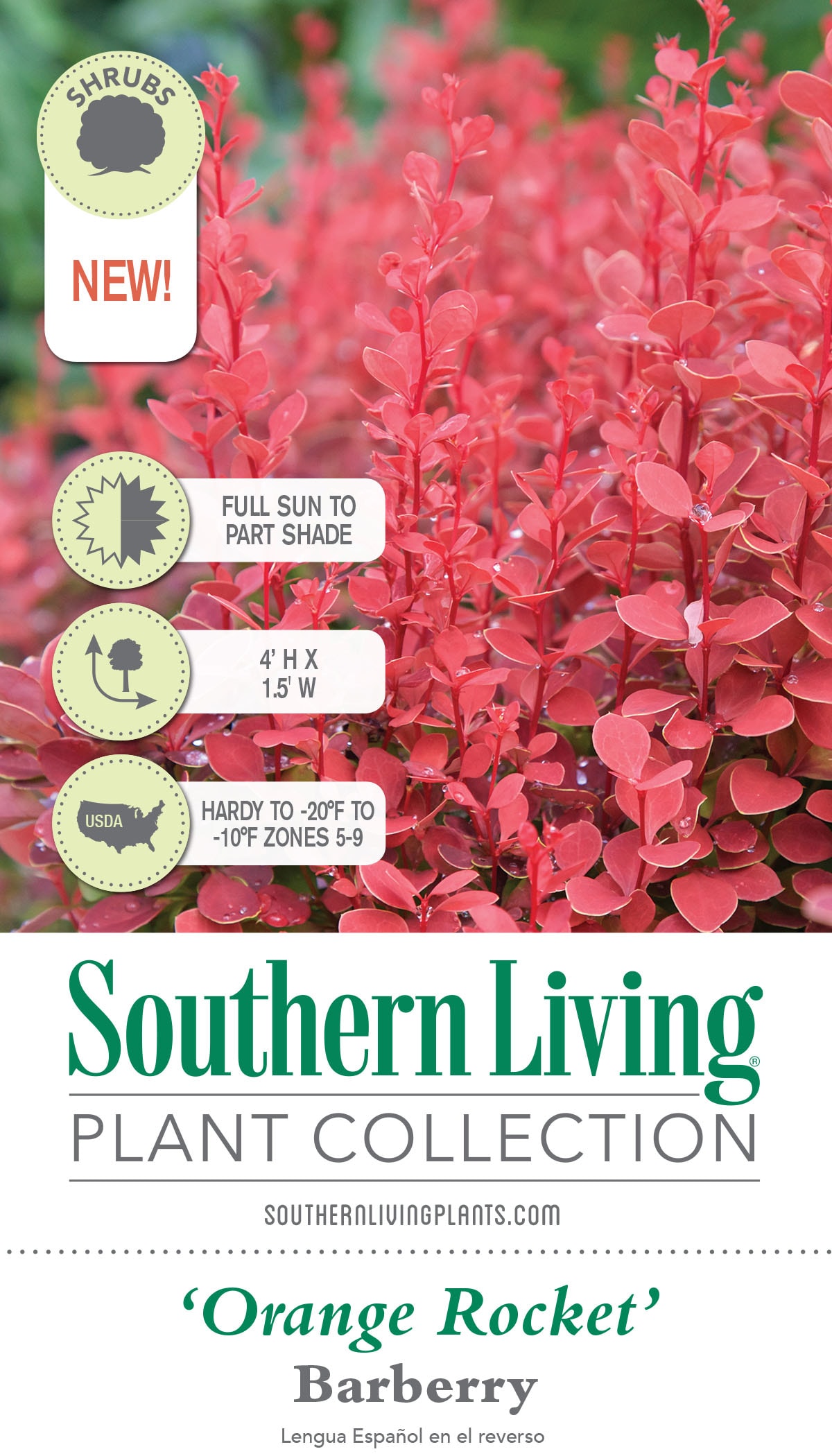 Southern Living Plant Collection 04332-1 shrubs - View #9