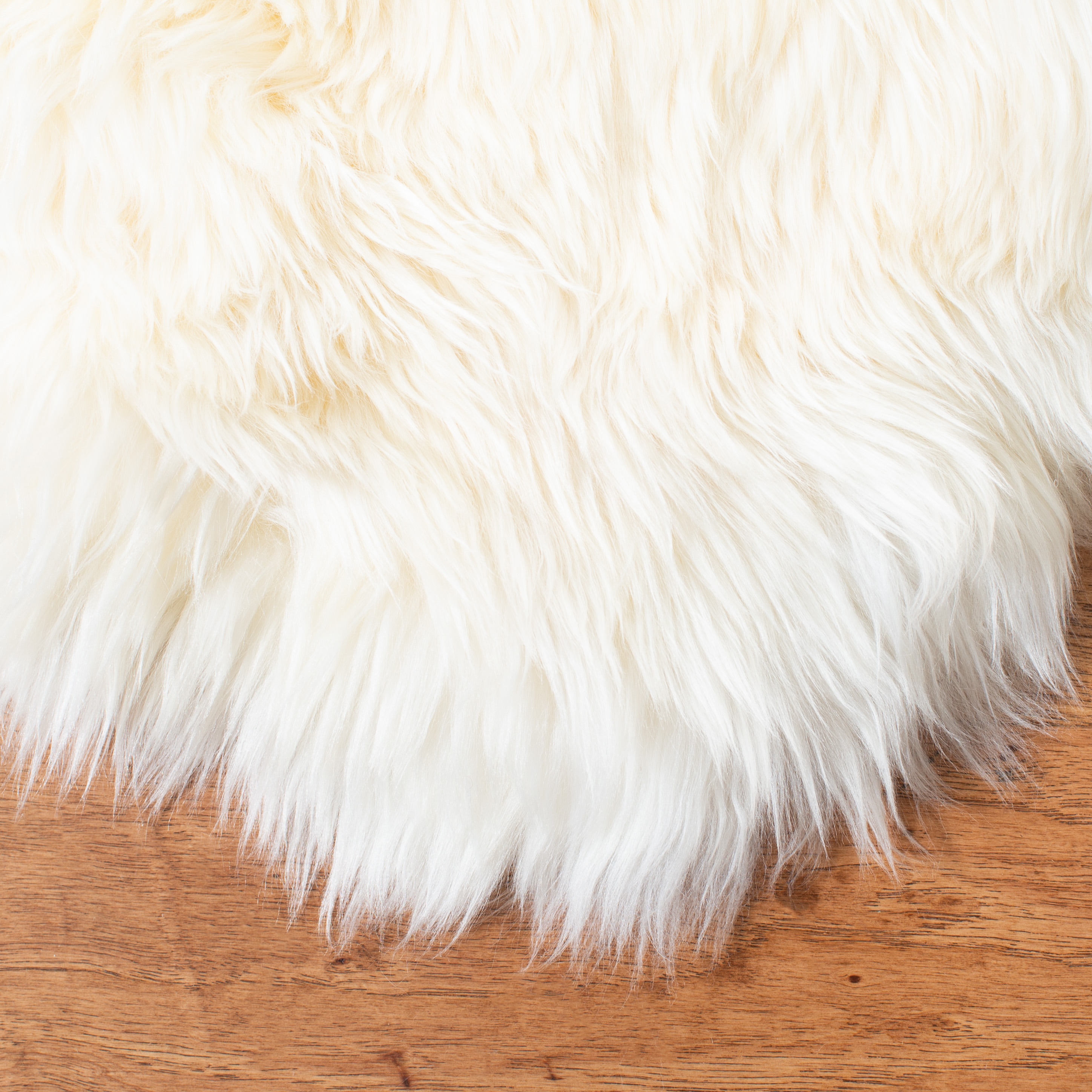 Safavieh SHS121A-4 rugs - View #4