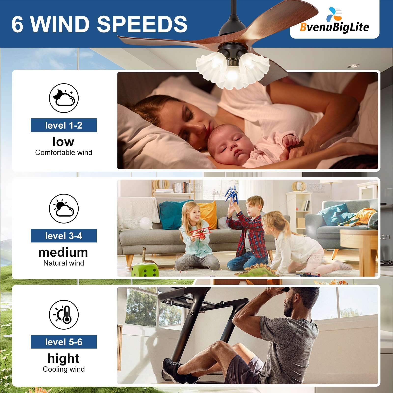 Dovanpaul 232-42A-BR Ceiling-Fans - View #7