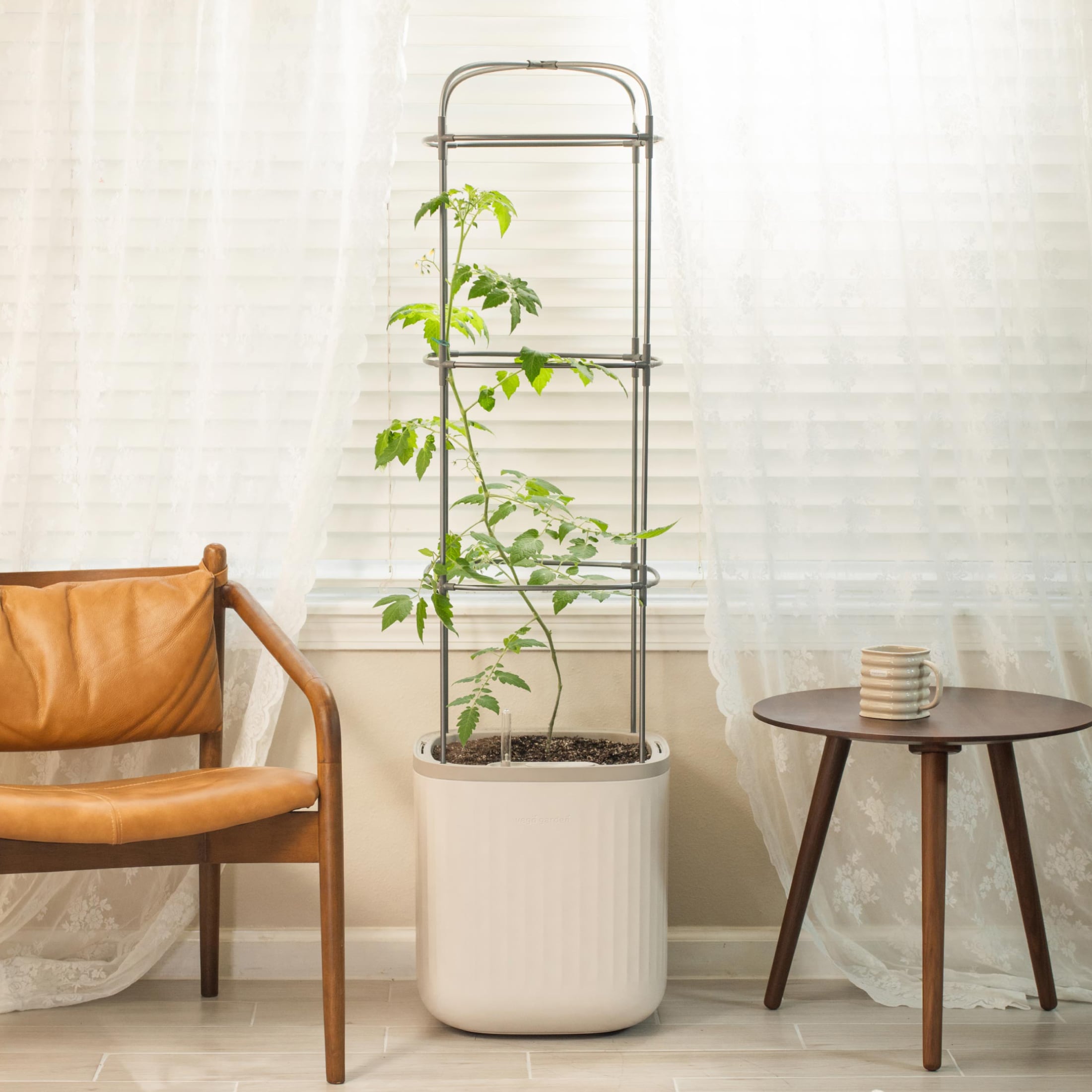 Cream White Self-Watering Indoor Outdoor Planter with Trellis
