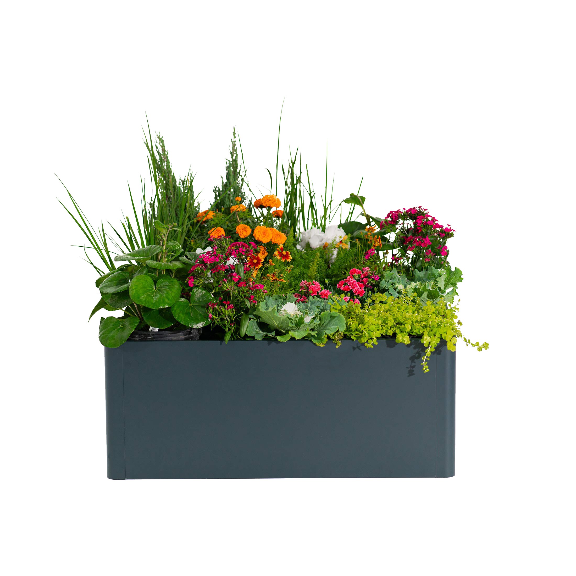 Vego Garden VBM4242BL Raised-Garden-Beds - View #6