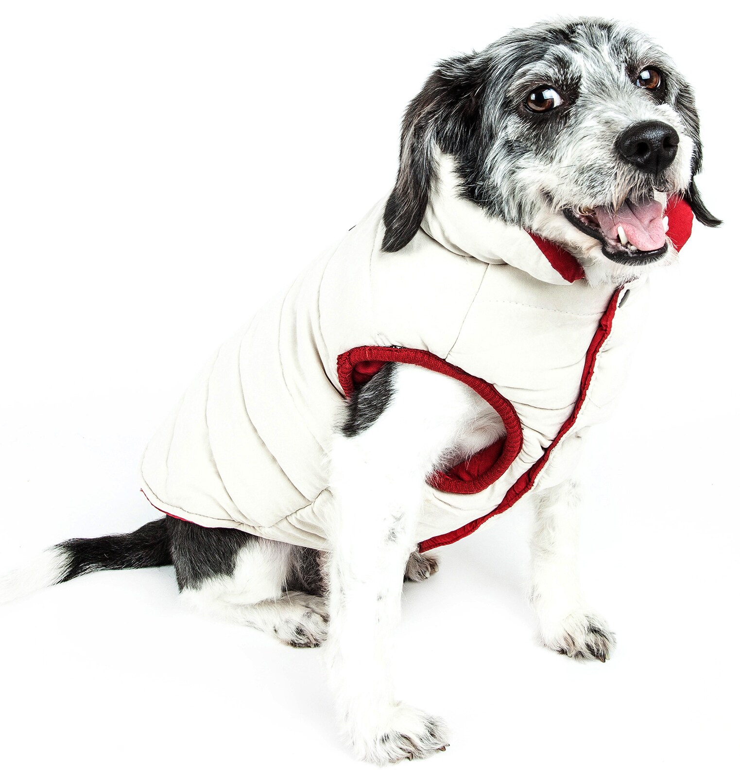 Touchdog JKTD9PKLG Dog-Apparel - View #2